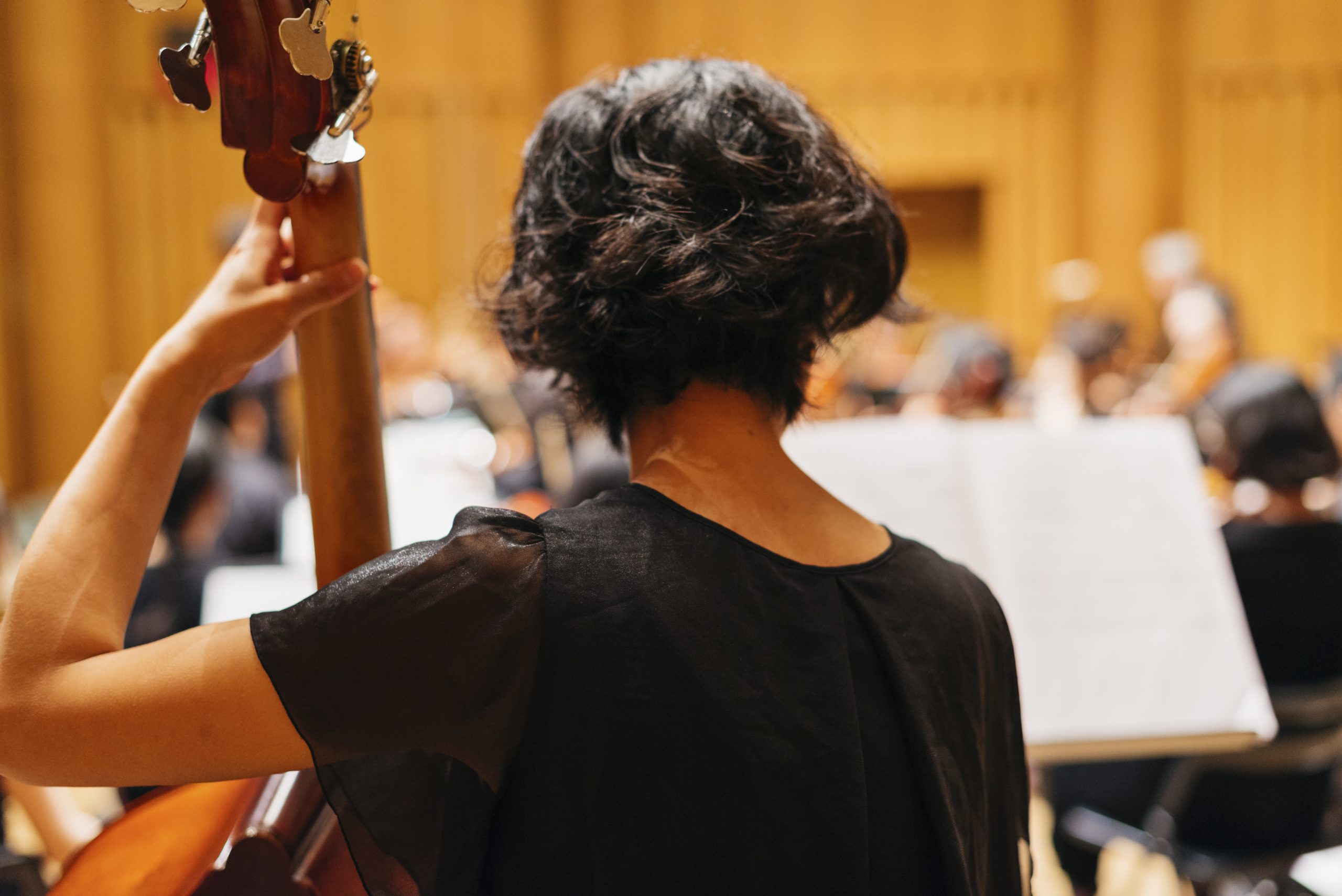 オーケストライメージ