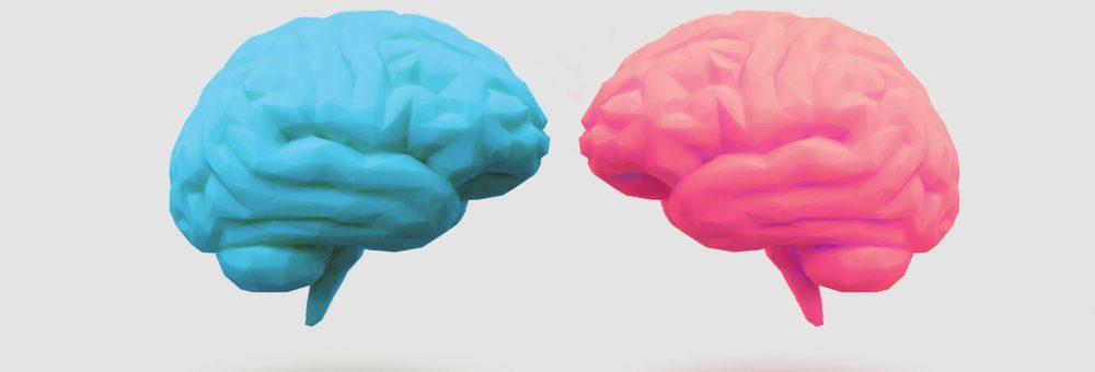 Couple of brain in love illustration